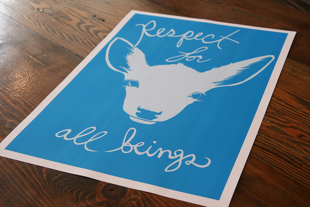 respect-for-all-beings_4645